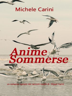 cover image of Anime Sommerse